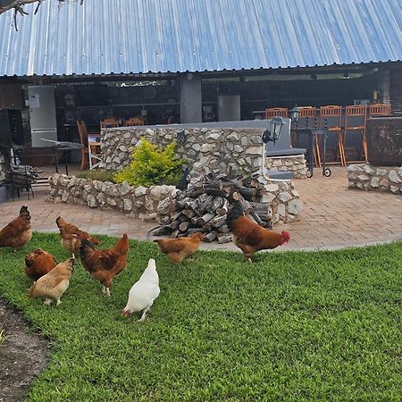 Tamboti Farm Accommodation Tsumeb Zewnętrze zdjęcie
