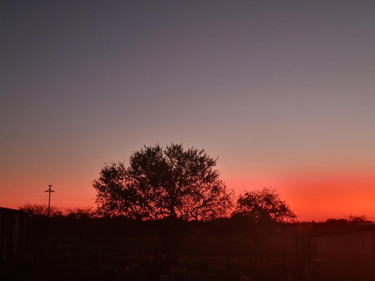 Tamboti Farm Accommodation Tsumeb Zewnętrze zdjęcie