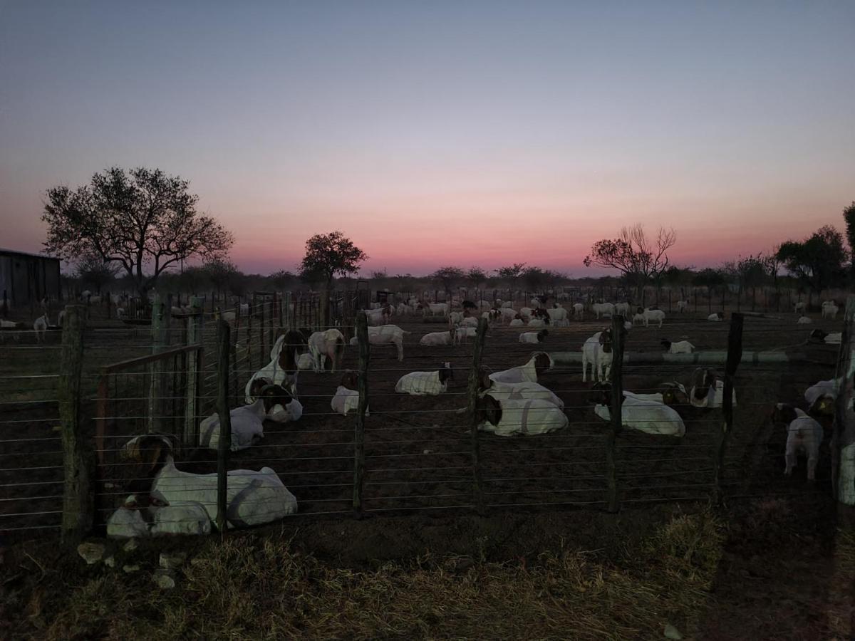 Tamboti Farm Accommodation Tsumeb Zewnętrze zdjęcie