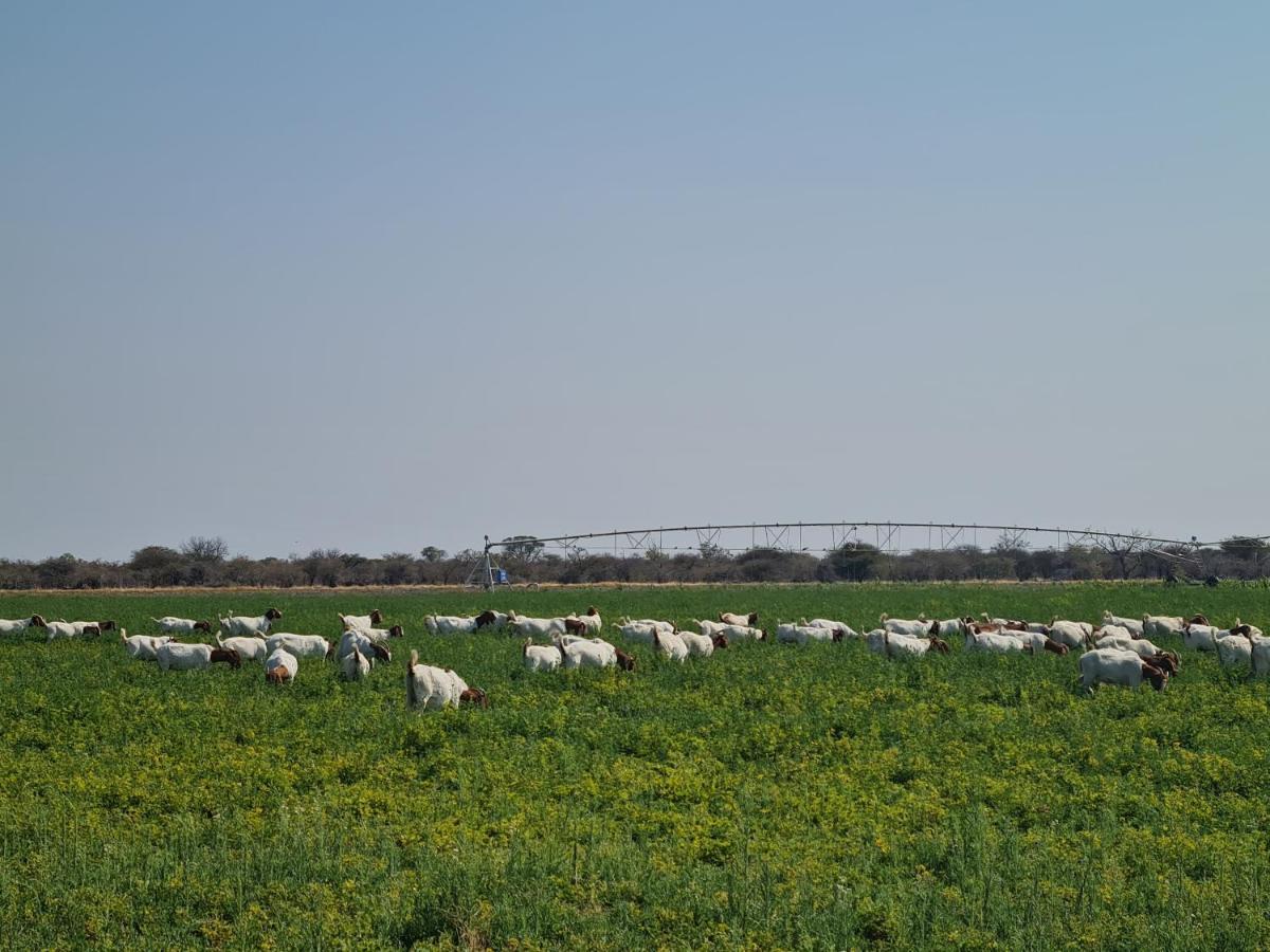 Tamboti Farm Accommodation Tsumeb Zewnętrze zdjęcie