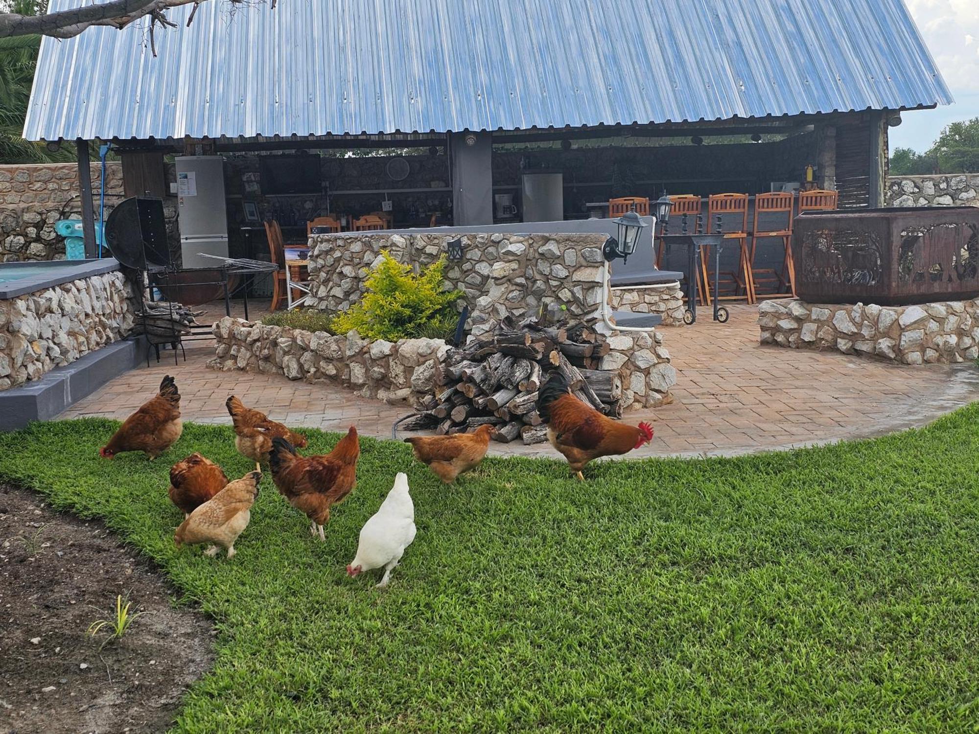 Tamboti Farm Accommodation Tsumeb Zewnętrze zdjęcie