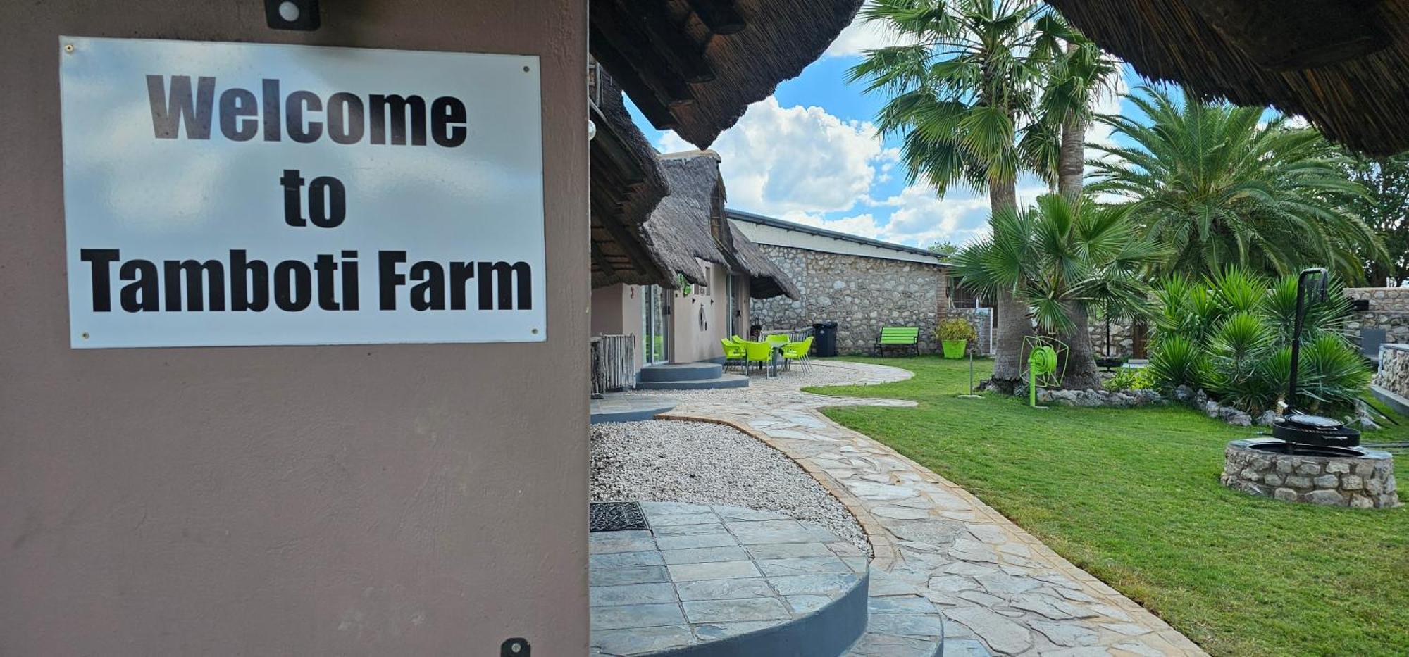 Tamboti Farm Accommodation Tsumeb Zewnętrze zdjęcie